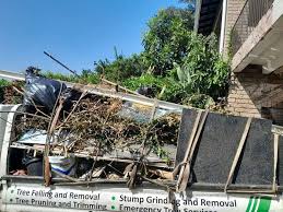 Best Property Management Cleanouts  in Arp, TX