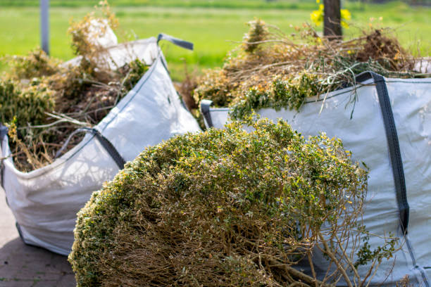 Trusted Arp, TX Junk Removal Services Experts