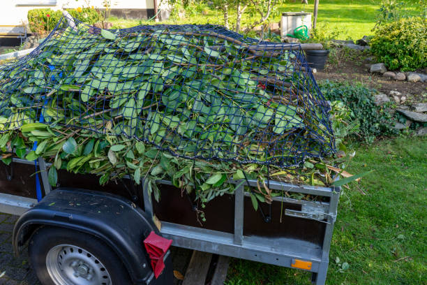 Best Same-Day Junk Removal Services  in Arp, TX